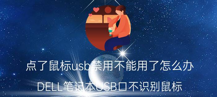 点了鼠标usb禁用不能用了怎么办 DELL笔记本USB口不识别鼠标？